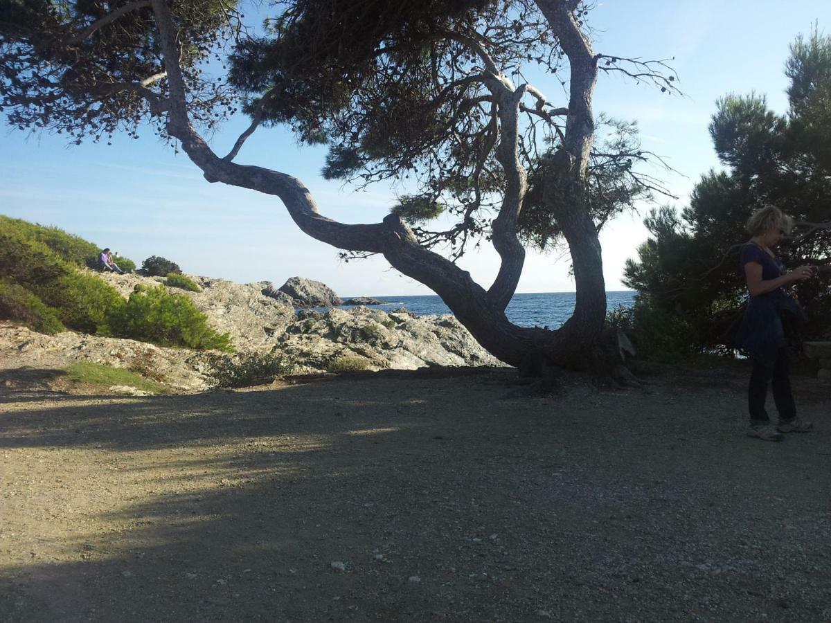 La Petite Maison De Melanie 30M Mer Six-Fours-les-Plages Εξωτερικό φωτογραφία